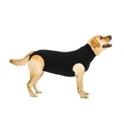 Suitical Recovery Suit For Dogs