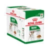 Royal Canin Mini Adult Wet -Renskes Shop 36ea08229535feb3aaf4c6bd8e1d05e3fe806ebb3ce999fee9540dee66be6481 3 5