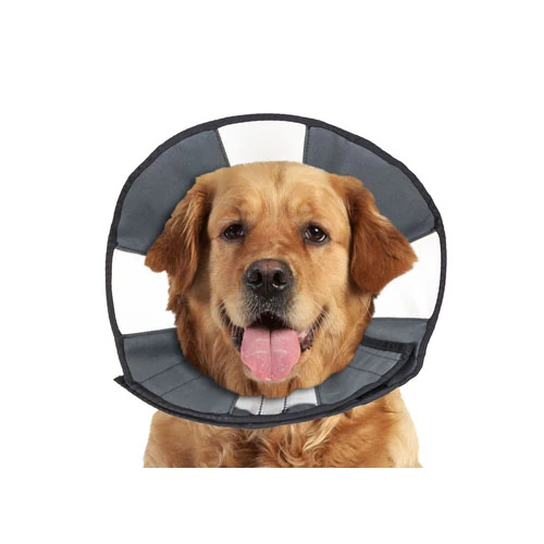 ZenPet Zen Collar 4 ZenPet Zen Collar - Image 2