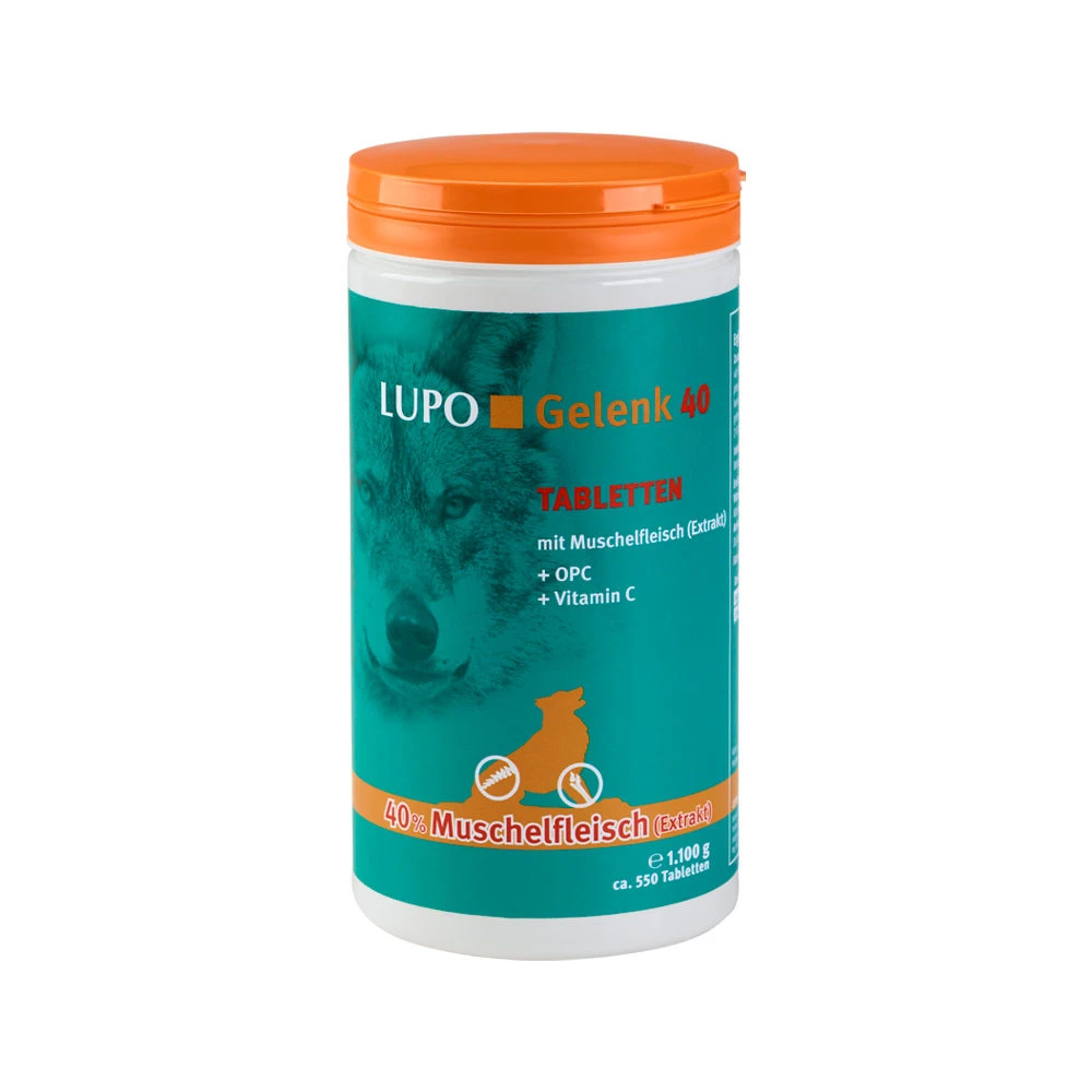 Luposan Gelenk 40 - Tablets 8 Luposan Gelenk 40 - Tablets - Image 6