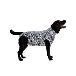 Medical Pet Shirt Dog - Zebra Print -Renskes Shop 50c5aab6e2da52aa948838962cdcb860cd036e5b89fc3439f93576ab4be782ab 3