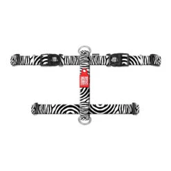 Max & Molly H-Dog Harness – Zebra -Renskes Shop 64f6751744c72f045c3be6e2403e00d9fe6f7ff056c897e885a01dbbc305167a 3
