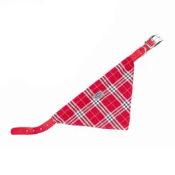 Curli Nobby Nylon Collar