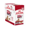 Royal Canin Medium Ageing 10+ Wet 1 Royal Canin Medium Ageing 10+ Wet -Renskes Shop 92c81c6e5609dd4c5429ced5abe51b727fdc7ea37640c21241c03f3850ac4a39 3 5