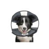 ZenPet Zen Collar -Renskes Shop 942fa87c5a3e5a9142fd70fe4e58f85ca3f82254cbec78427a0c6c123ea8dabb 4