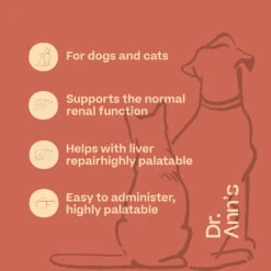 Dr. Ann’s Liver Support -Renskes Shop Ew7UZJwv7EZ77omZX7LL2Eh7emgAGE metaRHInQW5uJ3NfTGl2ZXItU3VwcG9ydC1VSy5qcGc