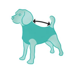 Suitical Recovery Suit For Dogs - Camouflage 11 Suitical Recovery Suit For Dogs - Camouflage -Renskes Shop ILtF02kyXAnbRr88QvQ12b6rufTPVq metacHJvZHVjdF9yZWNvdmVyeV9zdWl0X2hvbmRfbWVkcGV0c180XzE0MTQ1NjgzNTZfOTA2OS5qcGc