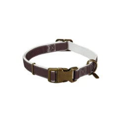 Designed By Lotte Nylon Collar