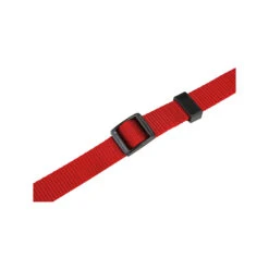 Beeztees Dog Collar With Click Buckle -Renskes Shop beeztees halsband hond met kliksluiting 200147 2000 none