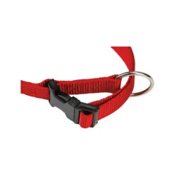 Beeztees Dog Collar With Click Buckle -Renskes Shop beeztees halsband hond met kliksluiting 200150 2000 none