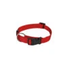 Beeztees Dog Collar With Click Buckle -Renskes Shop beeztees halsband hond met kliksluiting 200153 2000 none