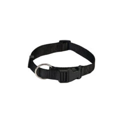 Beeztees Dog Collar With Click Buckle -Renskes Shop beeztees halsband hond met kliksluiting 200156 2000 none