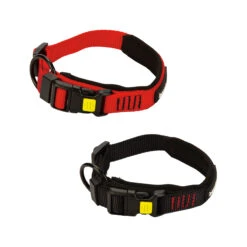 Beeztees Parinca Premium Collar