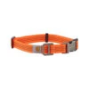 Carhartt Tradesman Dog Collar -Renskes Shop carhartt tradesman dog collar 186577 0500 none