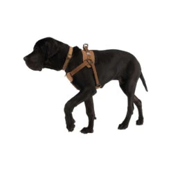 Carhartt Work Dog Harness -Renskes Shop carhartt work dog harness 186805 1000 none
