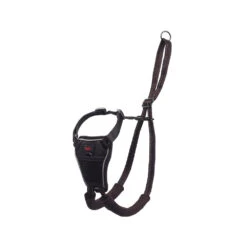 Company Of Animals Non-Pull Harness -Renskes Shop company of animals anti trektuig 170749 1000 none