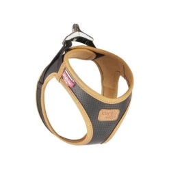 Curli Vegan Apple Leather Harness -Renskes Shop curli harnas vegan appelleer 216632 0500 none