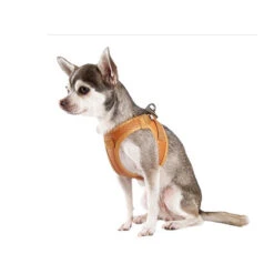 Curli Vegan Apple Leather Harness -Renskes Shop curli harnas vegan appelleer 216633 0500 none