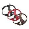 Curli Belka Comfort Harness -Renskes Shop curli belka comfort harness 136339 1000 none