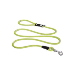 Curli Stretch Comfort Leash -Renskes Shop curli stretch comfort leash 219163 1000 none