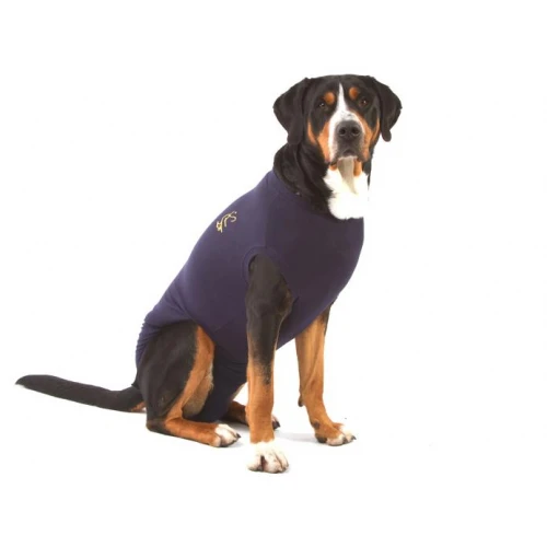 Medical Pet Shirt Dog 4 Medical Pet Shirt Dog - Image 2