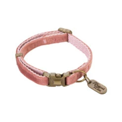 Designed By Lotte Dog Collar Velura -Renskes Shop designed by lotte hondenhalsband velura 199781 1000 none
