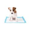 Duvo+ Puppy Pads 1 Duvo+ Puppy Pads -Renskes Shop duvo puppy pads 146015 1000 none