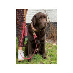 DWAM Collar Lou Lou -Renskes Shop dwam halsband lou lou 182185 1000 none