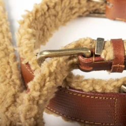 DWAM Collar Teddy -Renskes Shop dwam halsband teddy 189206 1000 none