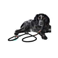 DWAM Dog Leash Long John -Renskes Shop dwam hondenriem long john 166357 1000 none