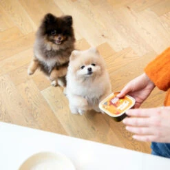 Edgard & Cooper Adult - Chicken & Turkey - Tub -Renskes Shop edgard cooper adult kip kalkoen kuipje 168597 2000 none