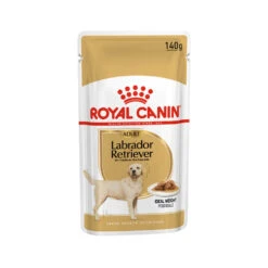 Royal Canin Labrador Retriever Adult Wet -Renskes Shop f4ac94413cfdc2db85f5fa695cf235966bf00e0f90d4960a589d858a1e7f40c6 3