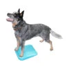 FitPAWS Balance Ramp -Renskes Shop fitpaws balance ramp 176140 1500 none