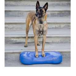 FitPAWS K9Fitbone -Renskes Shop fitpaws k9fitbone 109639 0500 none