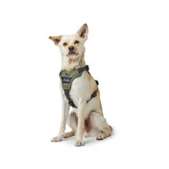 Hunter Harness Divo Red & Grey 15 Hunter Harness Divo Red & Grey -Renskes Shop hunter harnas divo roodgrijs 166831 0500 none