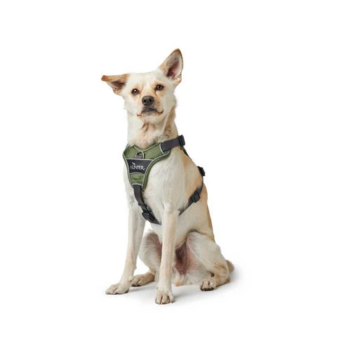 Hunter Harness Divo Red & Grey 8 Hunter Harness Divo Red & Grey - Image 6