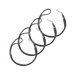 Hunter Training Lead Divo