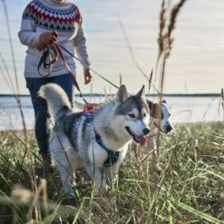 Hurtta - Weekend Warrior Winter Harness - Bilberry -Renskes Shop hurtta weekend warrior winter harnas bilberry 216605 1500 none