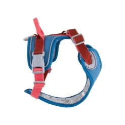 Hurtta - Weekend Warrior Winter Harness - Bilberry -Renskes Shop hurtta weekend warrior winter harnas bilberry 216609 1500 none