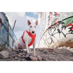 Hurtta Weekend Warrior Eco Harness -Renskes Shop hurtta weekend warrior eco harness 189132 0500 none