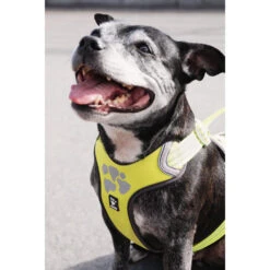 Hurtta Weekend Warrior Harness -Renskes Shop hurtta weekend warrior harness 189093 1000 none