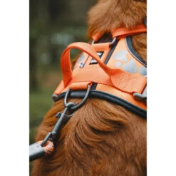 Hurtta Weekend Warrior Harness -Renskes Shop hurtta weekend warrior harness 189096 1000 none