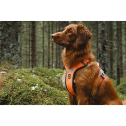 Hurtta Weekend Warrior Harness -Renskes Shop hurtta weekend warrior harness 189108 0500 none