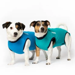 Jacketz Medical Bodysuit Dog 10 Jacketz Medical Bodysuit Dog -Renskes Shop jacketz medical body suit hond 209516 2000 none