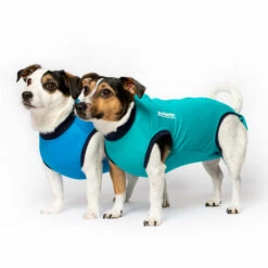 Jacketz Medical Bodysuit Dog 11 Jacketz Medical Bodysuit Dog -Renskes Shop jacketz medical body suit hond 209519 2000 none