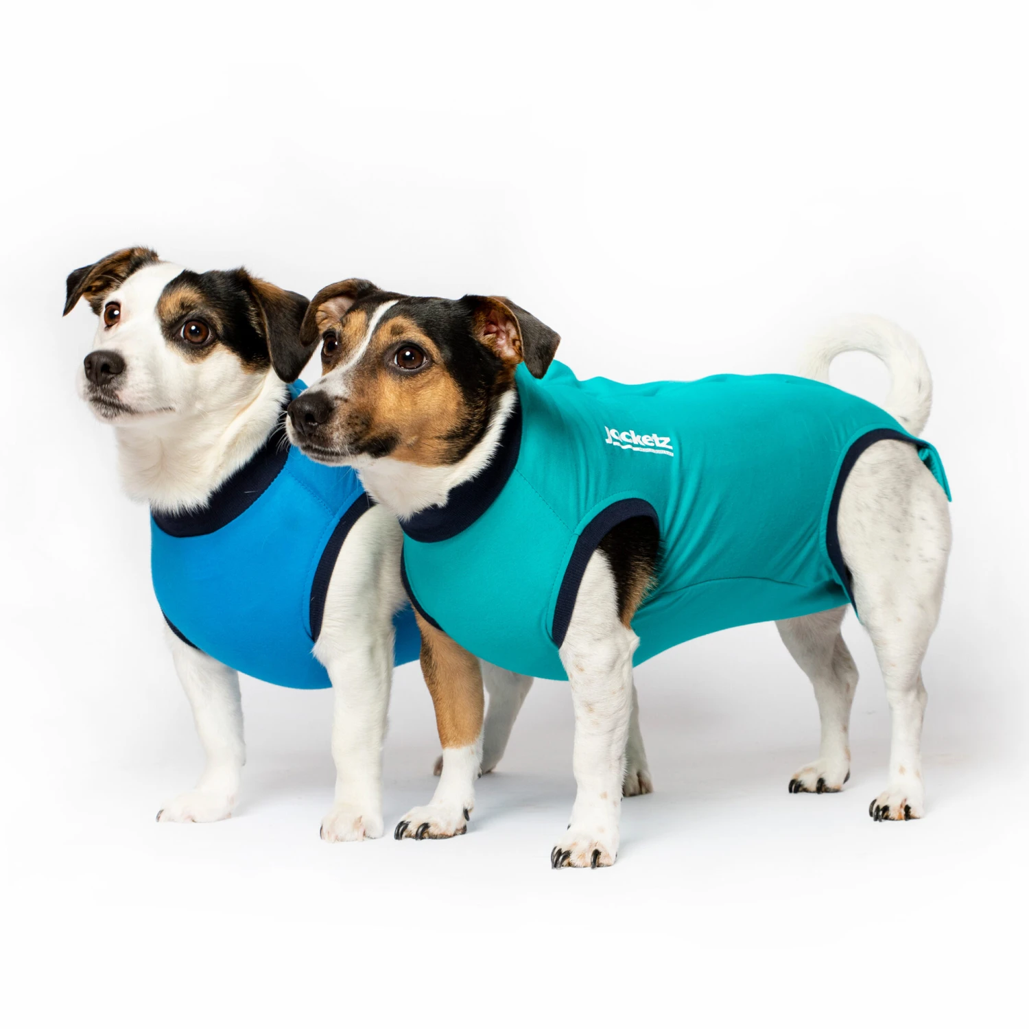 Jacketz Medical Bodysuit Dog 6 Jacketz Medical Bodysuit Dog - Image 4