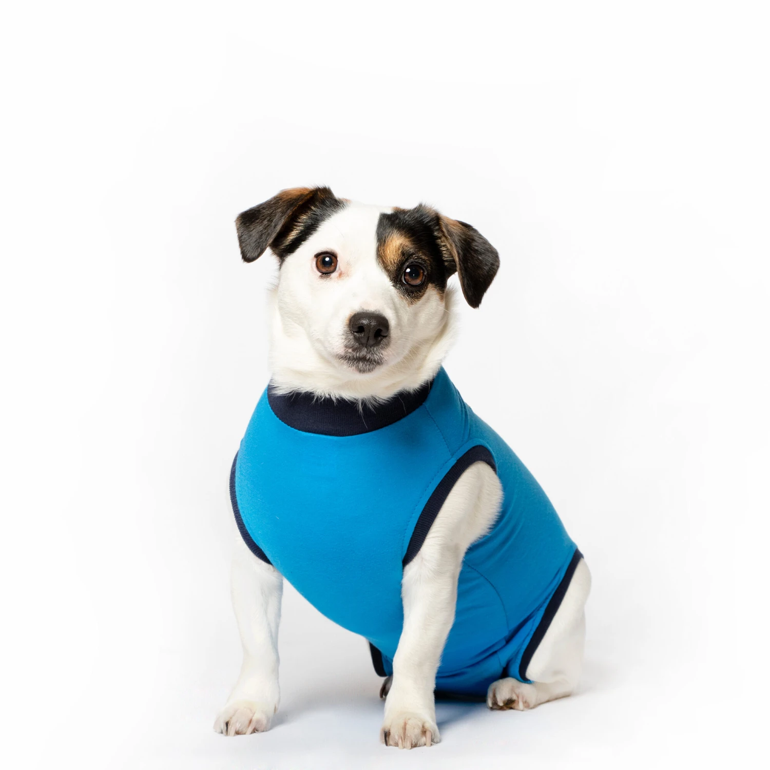 Jacketz Medical Bodysuit Dog 7 Jacketz Medical Bodysuit Dog - Image 5