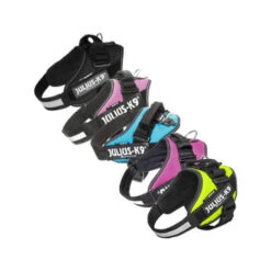 Julius K9 IDC Power Harness