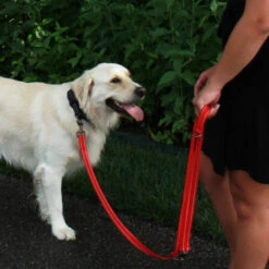 KONG Adjustable Leash