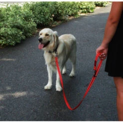 KONG Adjustable Leash -Renskes Shop kong adjustable leash zwart 176938 2000 none